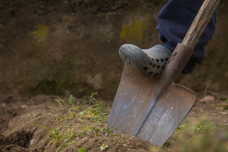 A person wearing a grey rubber clog and navy trousers is using a small shovel with a wooden handle and a metal blade to dig into soil outdoors. The shovel is partially embedded in the ground, which contains small green plants and loose dirt. In the background, there is a blurred vertical surface, possibly a wall or fence, with patches of moss or dirt. The lighting is natural and diffused, suggesting an overcast day. This scene depicts a gardening or preparing activity associated with home relocation or house removals, which may involve preparing a garden or outdoor area for moving logistics or landscaping, consistent with services provided by Man with Van Foots Cray.